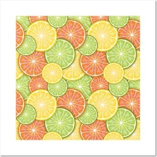 Citrus Fruit Slices Posters and Art